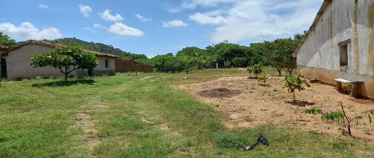 Foto de rancho en las moradas , villa morelos, cintalapa, chiapas, 31739425 foto 05 Foto de rancho en venta en las moradas , villa morelos, cintalapa, chiapas, 31739425 No. 05