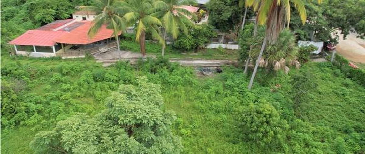 Foto de terreno comercial en venta en  , las negras, san pedro mixtepec -dto. 22 -, oaxaca, 0 No. 03