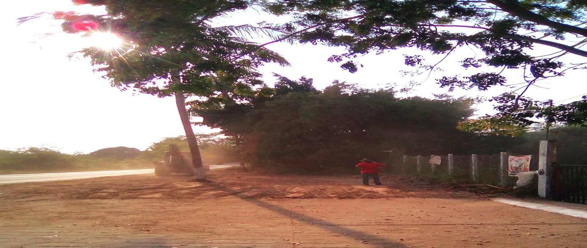 Foto de terreno comercial en venta en  , las negras, san pedro mixtepec -dto. 22 -, oaxaca, 0 No. 05