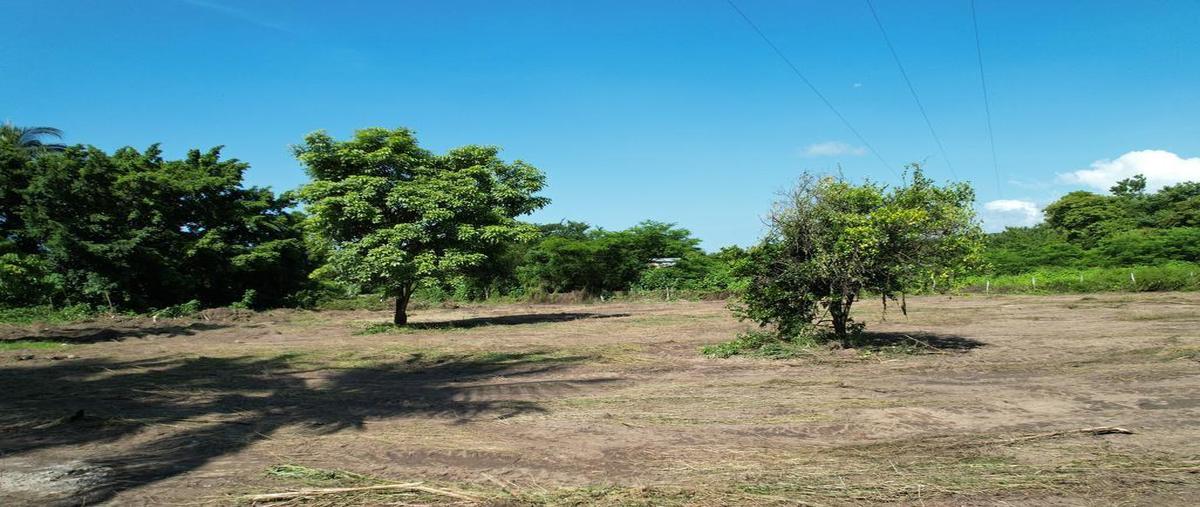 Foto de terreno comercial en venta en  , las negras, san pedro mixtepec -dto. 22 -, oaxaca, 0 No. 03