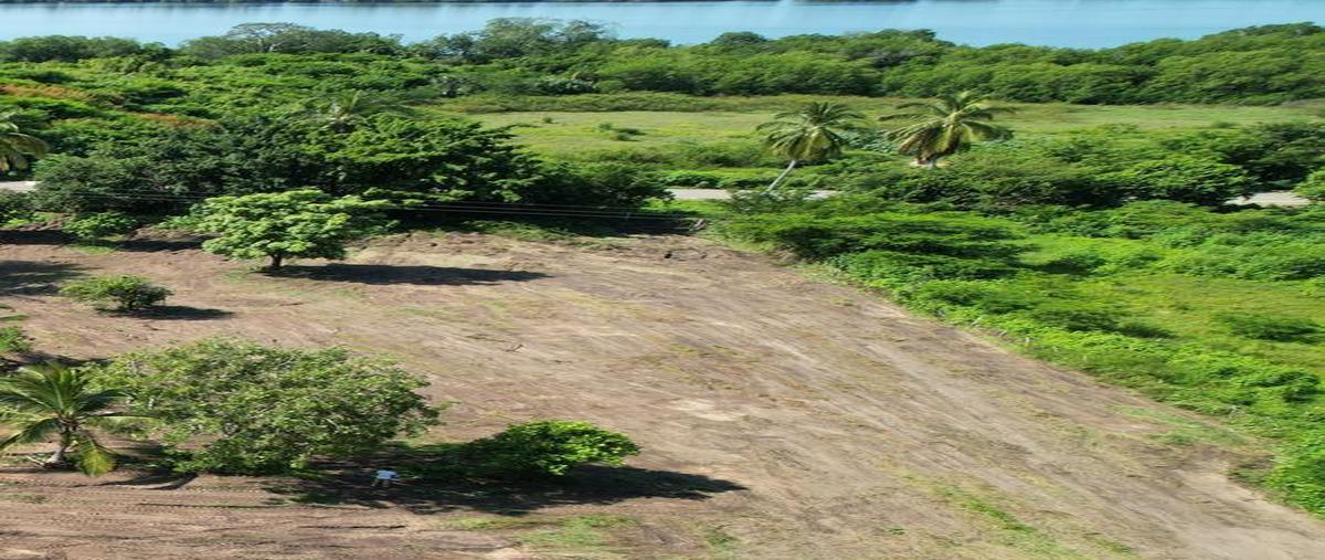Foto de terreno comercial en venta en  , las negras, san pedro mixtepec -dto. 22 -, oaxaca, 0 No. 04