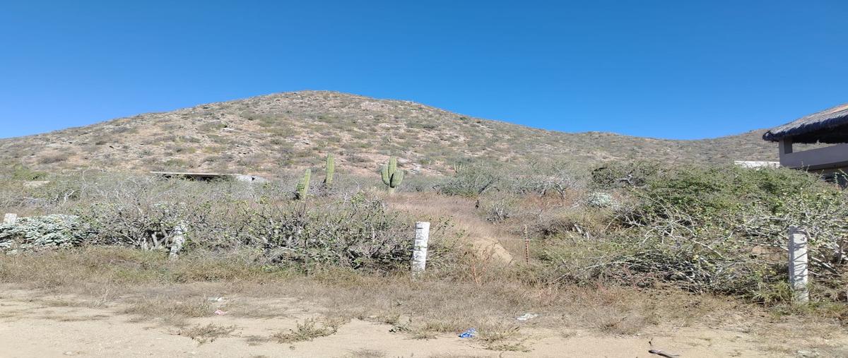 Foto de terreno comercial en las paletas , pescadero, la paz, baja california sur, 31510505 foto 05 Foto de terreno comercial en venta en las paletas , pescadero, la paz, baja california sur, 31510505 No. 05