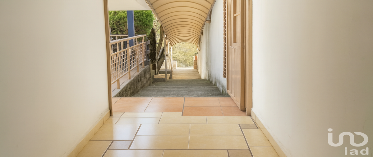 Foto de casa en renta en las palmas 673, bellavista, cuernavaca, morelos, 30651752 No. 03