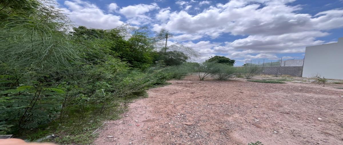 Foto de terreno habitacional en venta en  , las palmas, ahome, sinaloa, 0 No. 03
