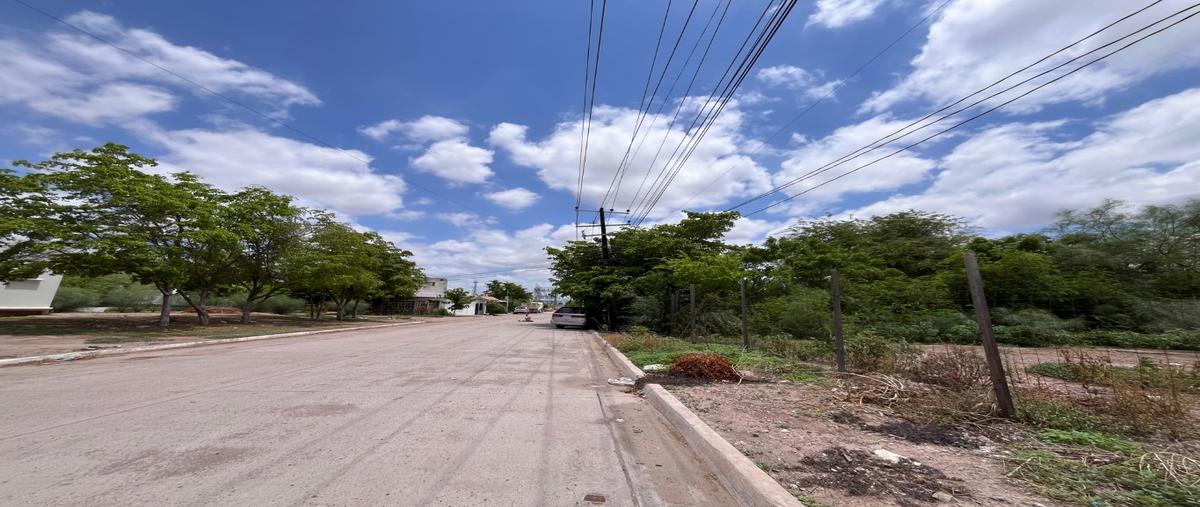 Foto de terreno habitacional en venta en  , las palmas, ahome, sinaloa, 0 No. 05