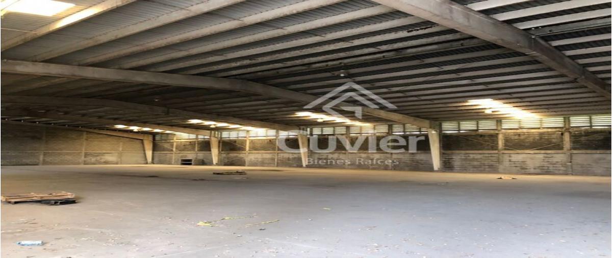 Foto de bodega en renta en  , las palmas, altamira, tamaulipas, 25529086 No. 03