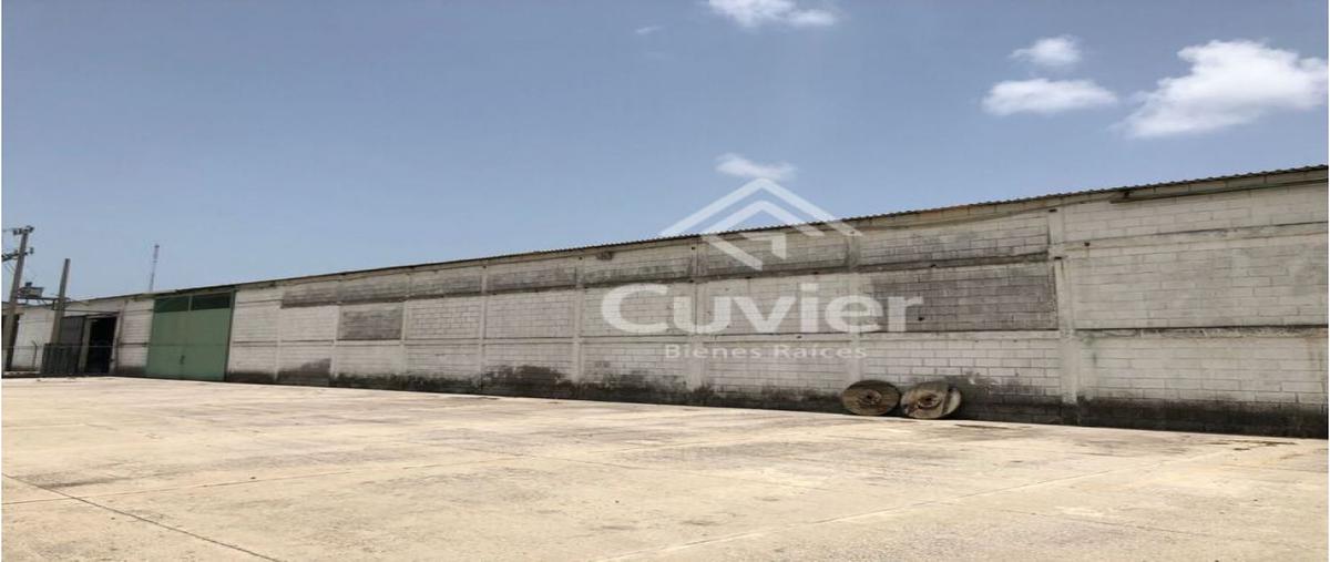 Foto de bodega en renta en  , las palmas, altamira, tamaulipas, 25529086 No. 04