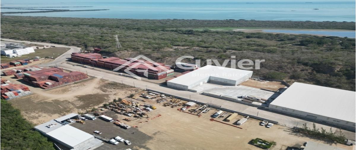 Foto de bodega en renta en  , las palmas, altamira, tamaulipas, 27616037 No. 03