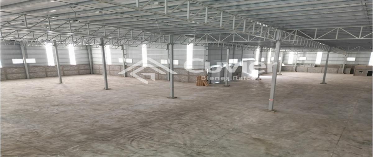 Foto de bodega en renta en  , las palmas, altamira, tamaulipas, 27616037 No. 04