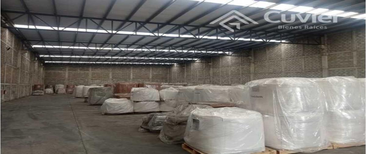 Foto de bodega en renta en  , las palmas, altamira, tamaulipas, 0 No. 03