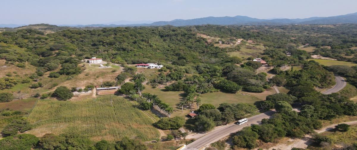 Foto de rancho en venta en  , las palmas de arriba, puerto vallarta, jalisco, 30618115 No. 04