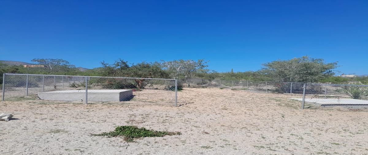 Foto de terreno habitacional en venta en las palmas , el sargento, la paz, baja california sur, 0 No. 03
