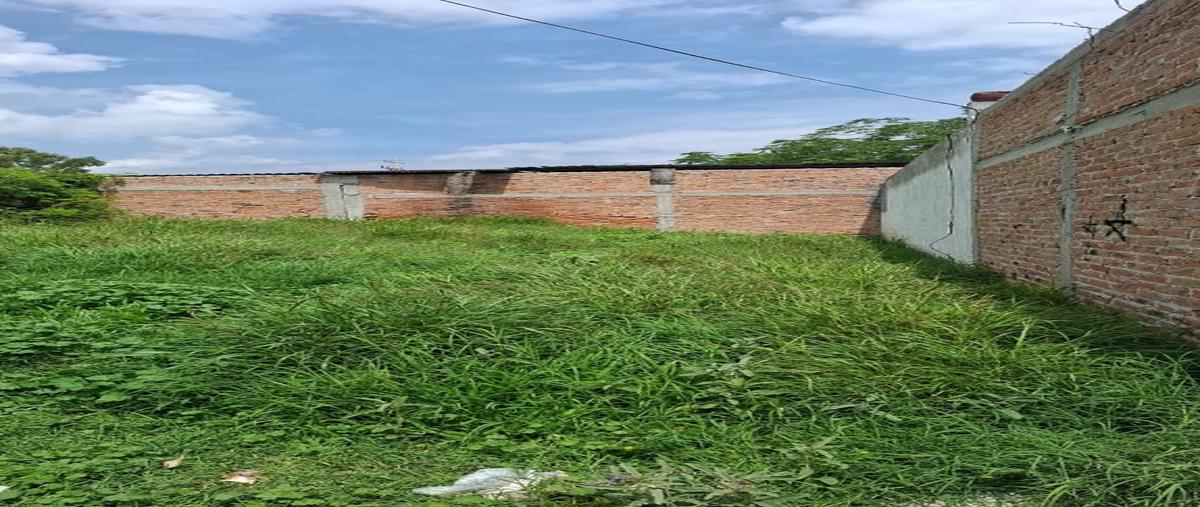 Foto de terreno habitacional en venta en  , las palmas, jesús maría, aguascalientes, 30109841 No. 04