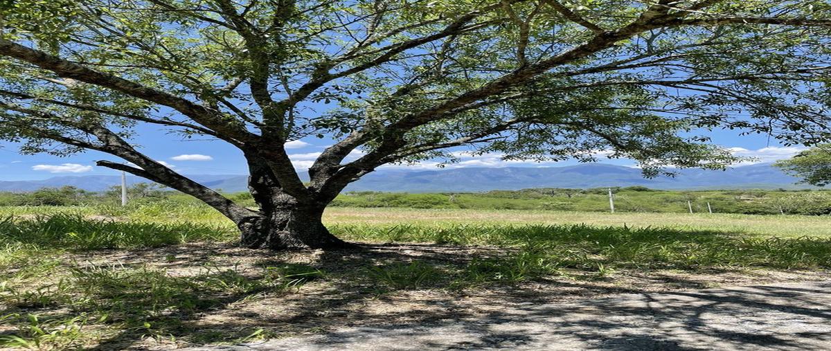 Foto de terreno habitacional en venta en  , las palmas, montemorelos, nuevo león, 28399630 No. 05