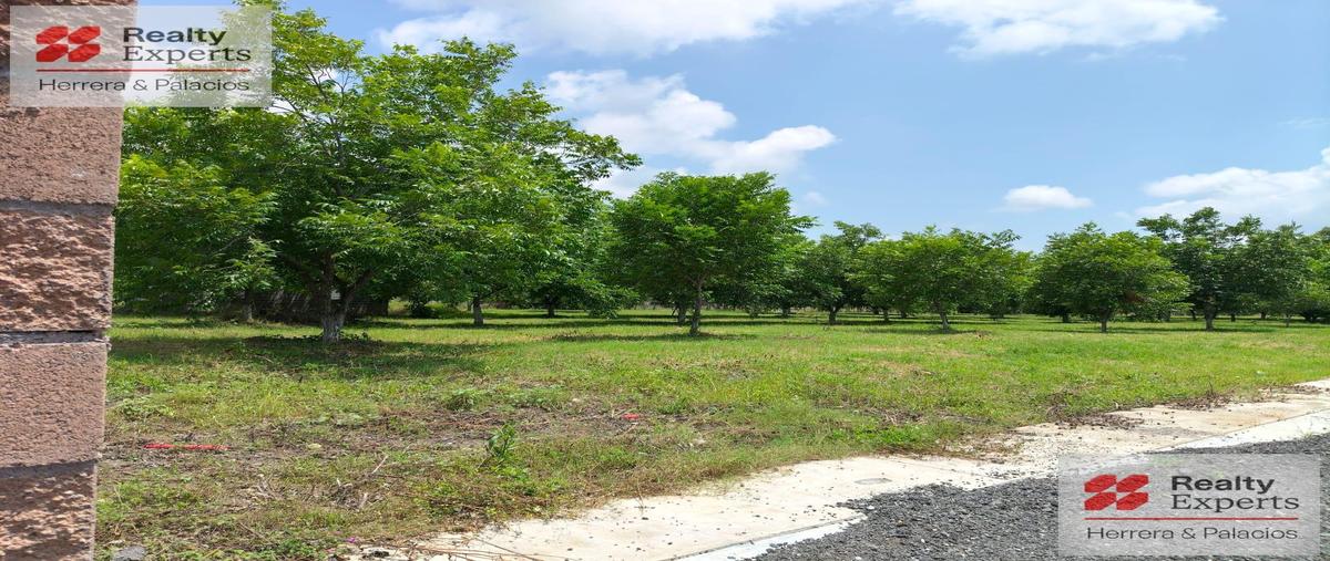 Foto de terreno habitacional en venta en  , las palmas, montemorelos, nuevo león, 0 No. 03