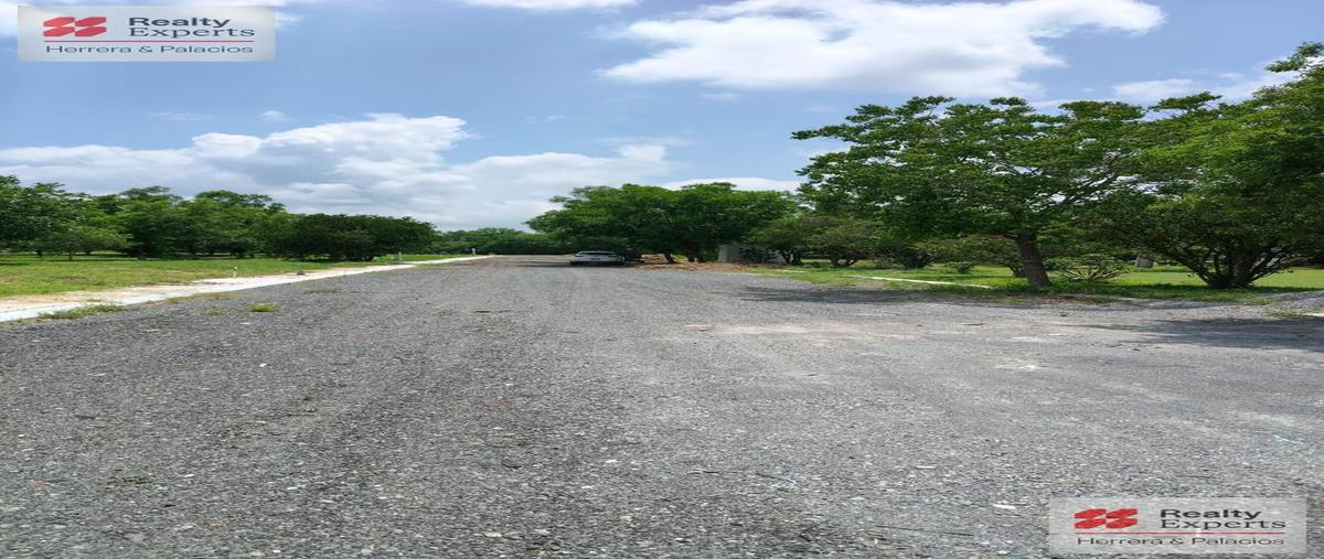 Foto de terreno habitacional en venta en  , las palmas, montemorelos, nuevo león, 0 No. 04