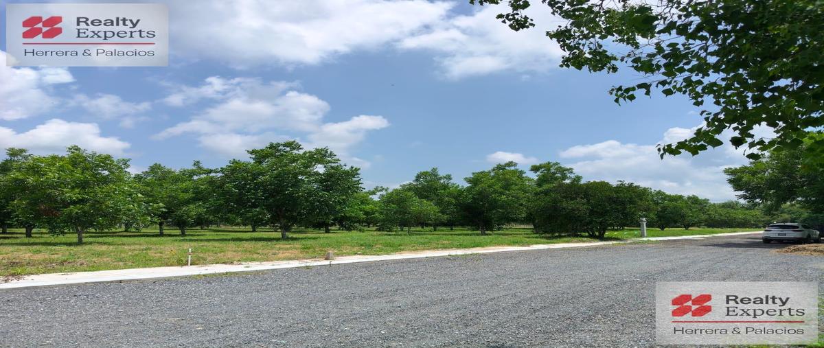 Foto de terreno habitacional en venta en  , las palmas, montemorelos, nuevo león, 0 No. 05