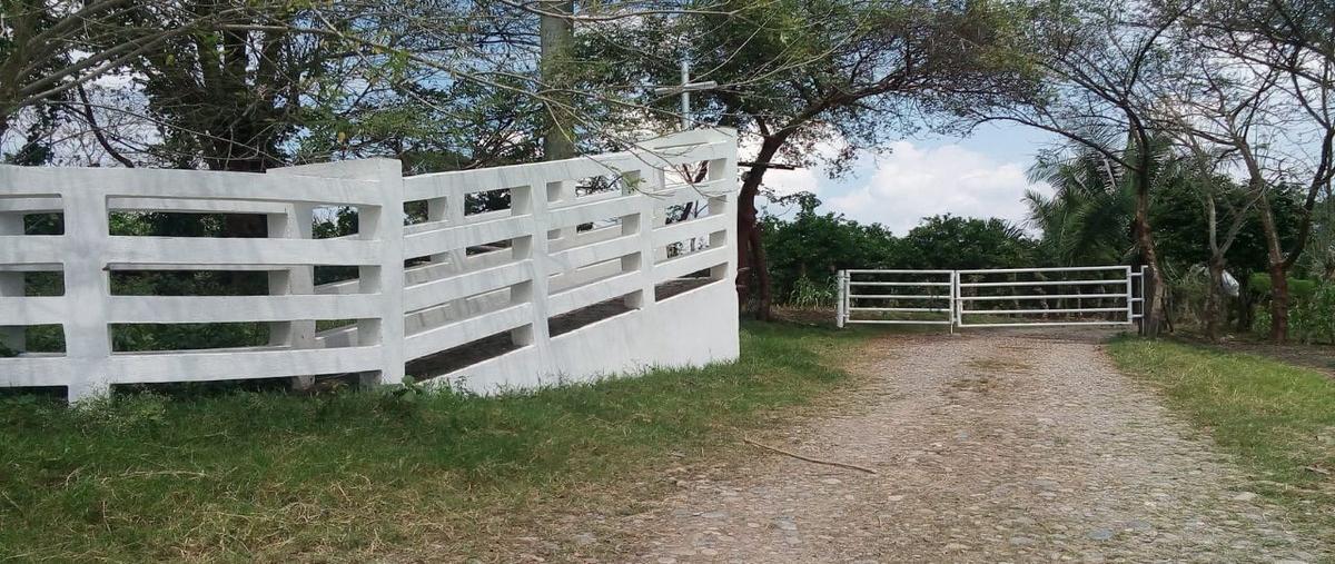 Foto de rancho en , las palmas, poza rica de hidalgo, veracruz de ignacio de la llave, 26408830 foto 01 Foto de rancho en venta en , las palmas, poza rica de hidalgo, veracruz de ignacio de la llave, 26408830 No. 01