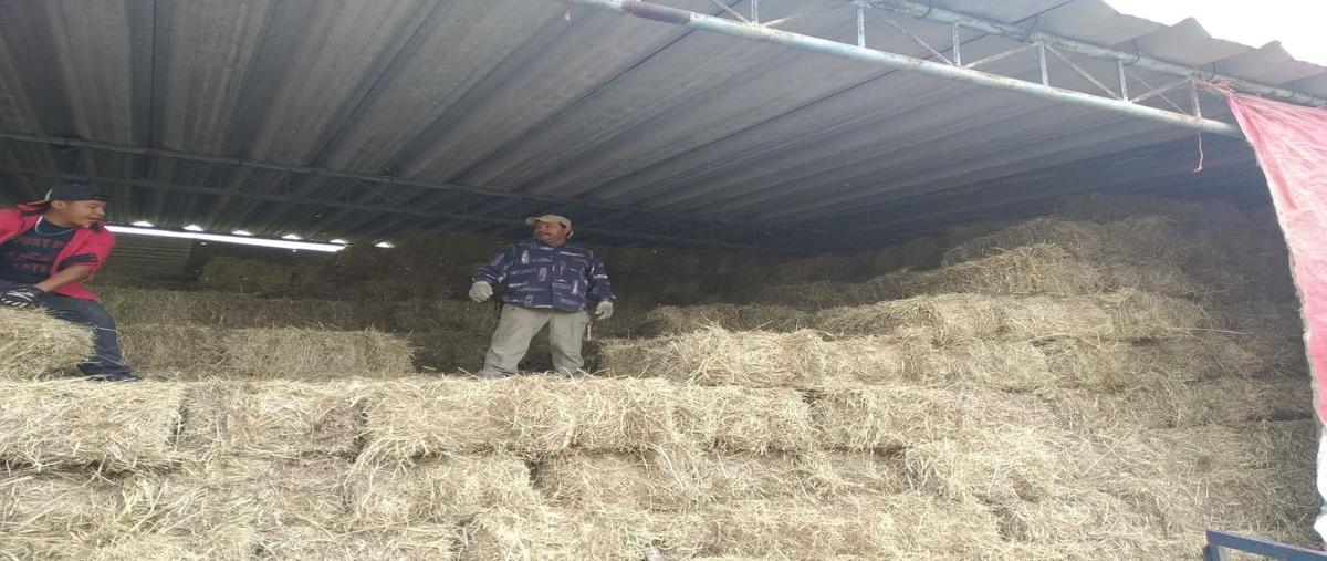 Foto de rancho en , las palmas, poza rica de hidalgo, veracruz de ignacio de la llave, 26408830 foto 04 Foto de rancho en venta en , las palmas, poza rica de hidalgo, veracruz de ignacio de la llave, 26408830 No. 04