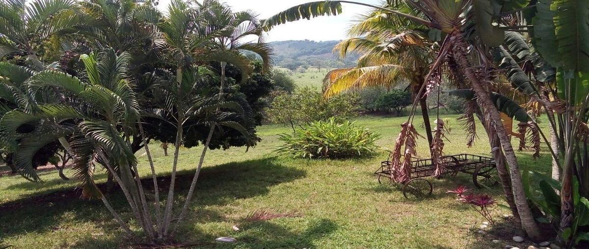 Foto de rancho en , las palmas, poza rica de hidalgo, veracruz de ignacio de la llave, 26408830 foto 05 Foto de rancho en venta en , las palmas, poza rica de hidalgo, veracruz de ignacio de la llave, 26408830 No. 05
