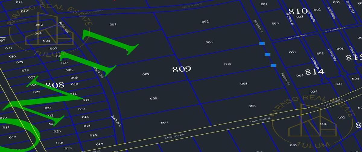 Foto de terreno habitacional en venta en  , las palmas, tulum, quintana roo, 29441555 No. 03