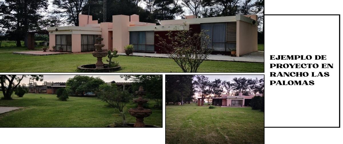 Foto de terreno comercial en venta en las palomas , ramblas chico, tototlán, jalisco, 31718622 No. 04
