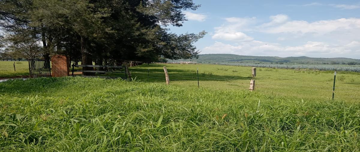 Foto de terreno comercial en venta en las palomas , ramblas chico, tototlán, jalisco, 31718622 No. 05