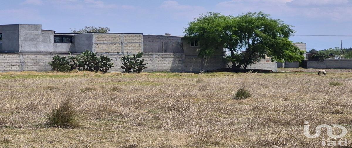 Foto de terreno habitacional en venta en las palomas , san pedro, almoloya de juárez, méxico, 31121121 No. 03