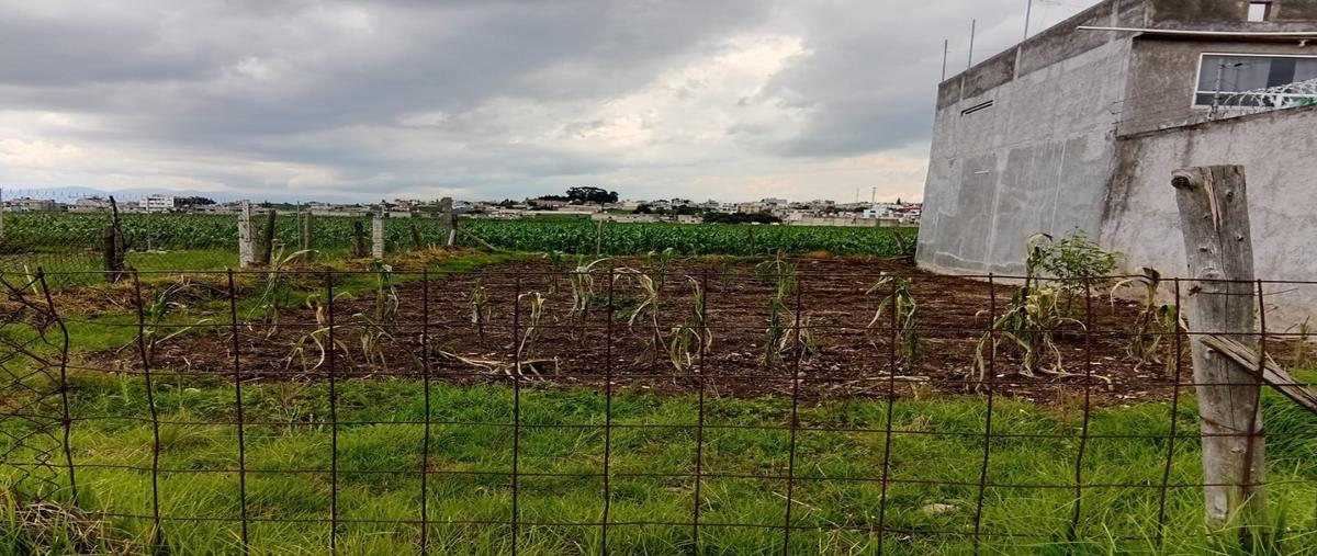 Foto de terreno habitacional en venta en  , las palomas, toluca, méxico, 0 No. 03