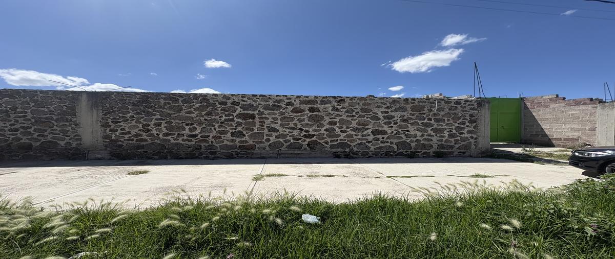 Foto de terreno habitacional en venta en las partidas , presa del rey, temascalapa, méxico, 30484821 No. 03