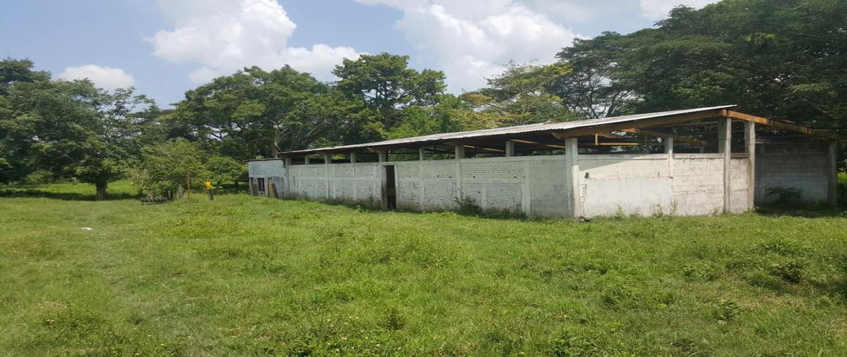 Foto de terreno habitacional en venta en  , las peñitas, cosamaloapan de carpio, veracruz de ignacio de la llave, 0 No. 05