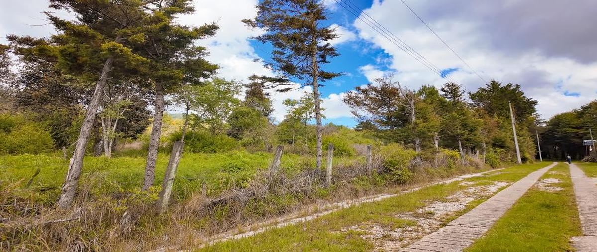 Foto de terreno habitacional en venta en las peras 675, san francisco, san cristóbal de las casas, chiapas, 0 No. 05