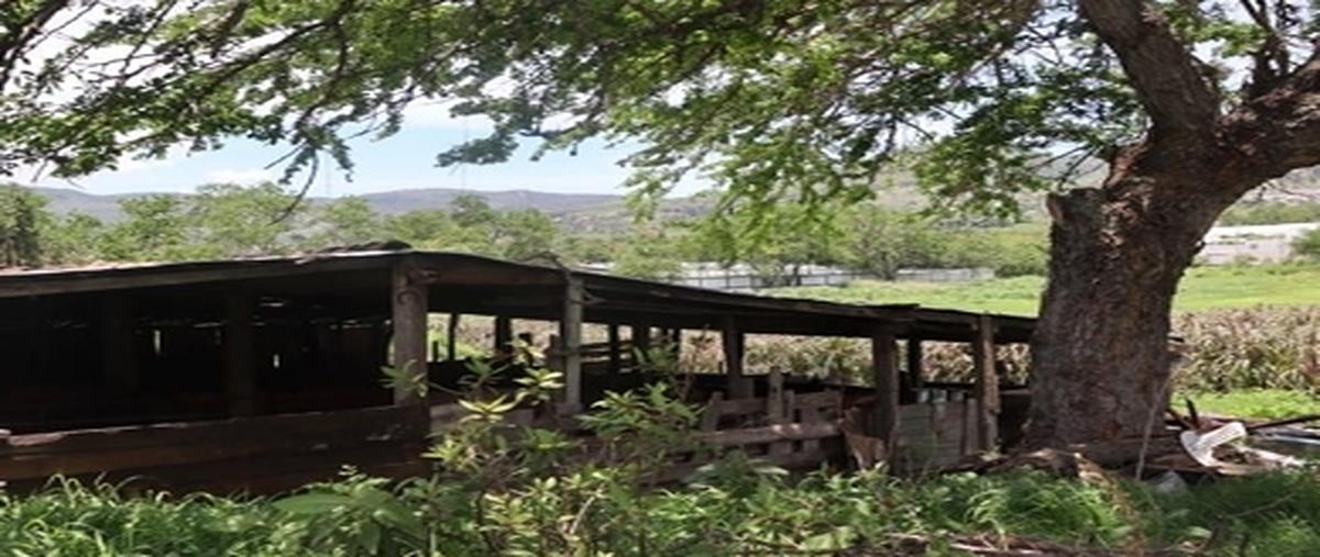 Foto de terreno habitacional en , las petaquillas, chilpancingo de los bravo, guerrero, 0 foto 03 Foto de terreno habitacional en venta en , las petaquillas, chilpancingo de los bravo, guerrero, 0 No. 03