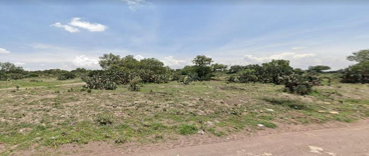 Foto de terreno industrial en venta en  , las pintas, temascalapa, méxico, 0 No. 04