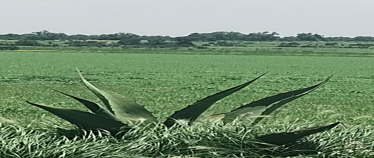 Foto de terreno habitacional en , las pintas, temascalapa, méxico, 0 foto 04 Foto de terreno habitacional en venta en , las pintas, temascalapa, méxico, 0 No. 04