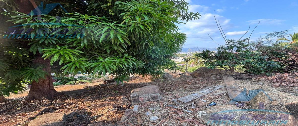 Foto de terreno habitacional en venta en  , las playas, acapulco de juárez, guerrero, 0 No. 03