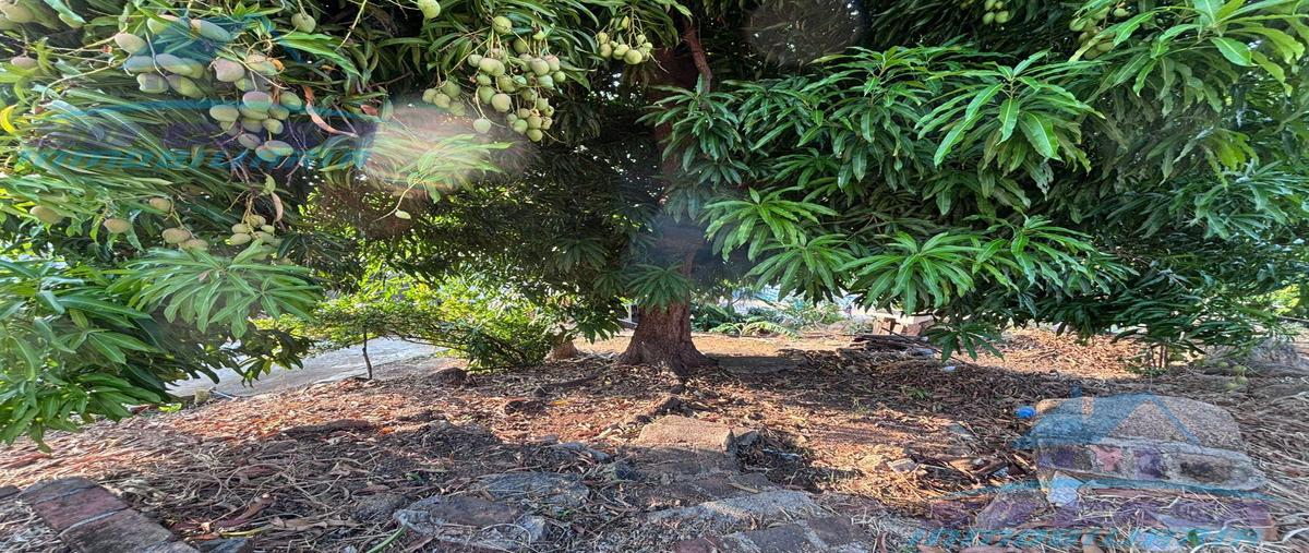 Foto de terreno habitacional en venta en  , las playas, acapulco de juárez, guerrero, 0 No. 04