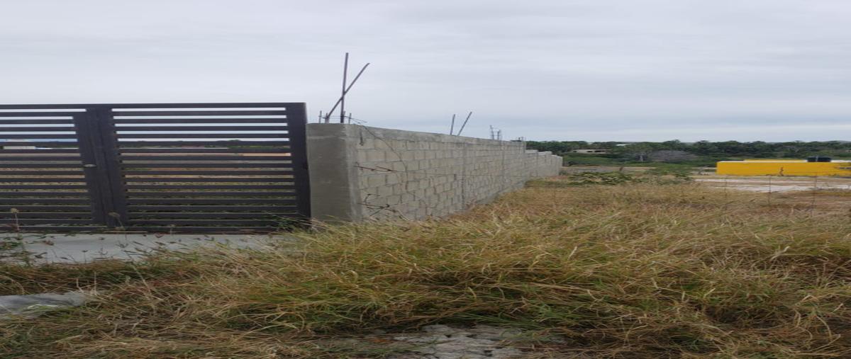 Foto de terreno comercial en las playitas , 8 de octubre 1a sección, la paz, baja california sur, 26912998 foto 05 Foto de terreno comercial en venta en las playitas , 8 de octubre 1a sección, la paz, baja california sur, 26912998 No. 05