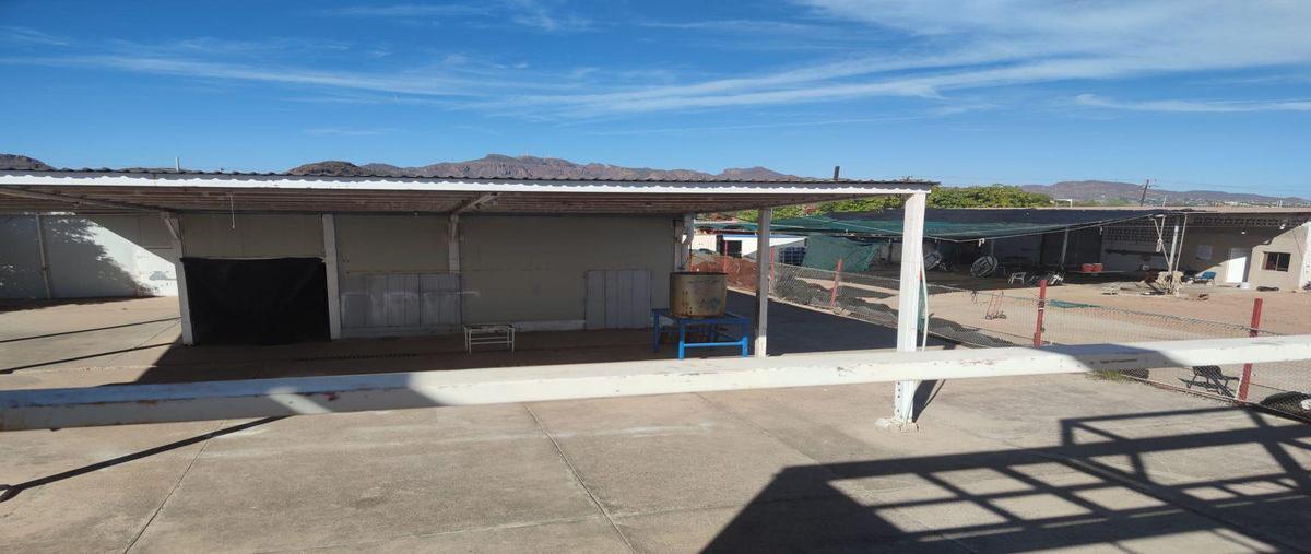 Foto de bodega en , las playitas, guaymas, sonora, 0 foto 05 Foto de bodega en venta en , las playitas, guaymas, sonora, 0 No. 05