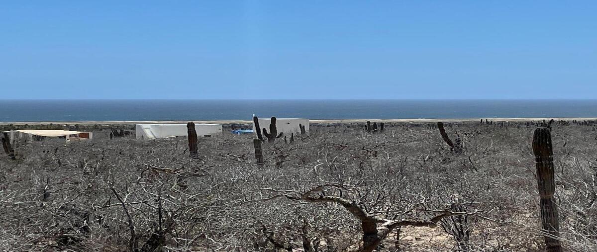 Foto de terreno habitacional en venta en las playitas , pueblo nuevo, la paz, baja california sur, 29789358 No. 01