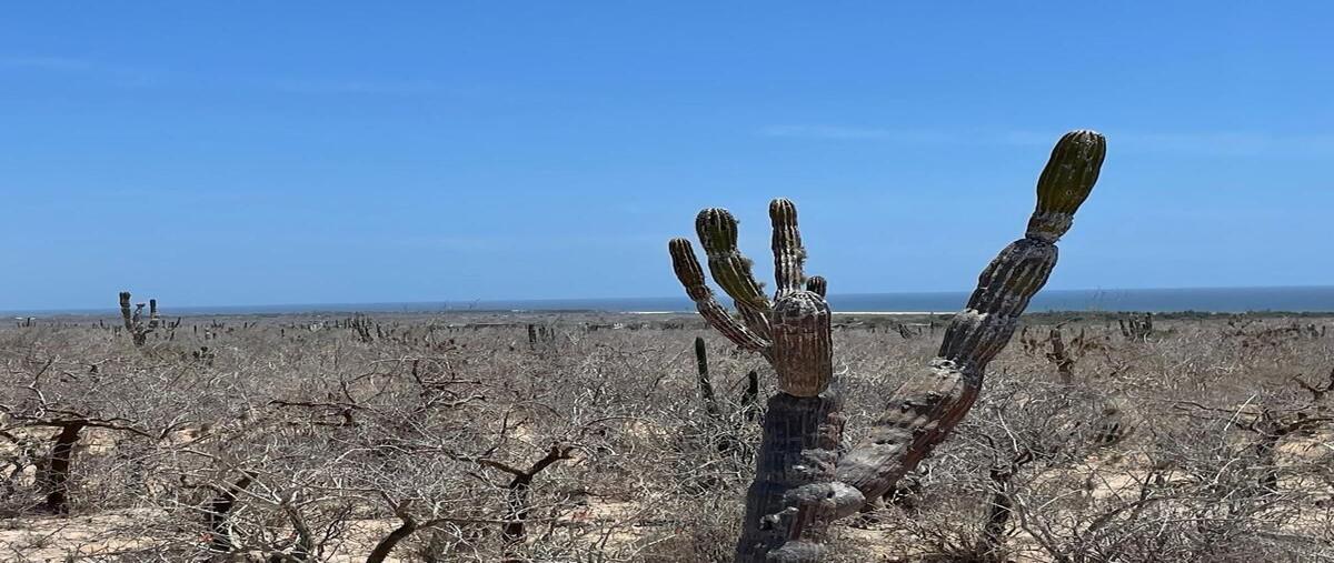 Foto de terreno habitacional en venta en las playitas , pueblo nuevo, la paz, baja california sur, 29789358 No. 02