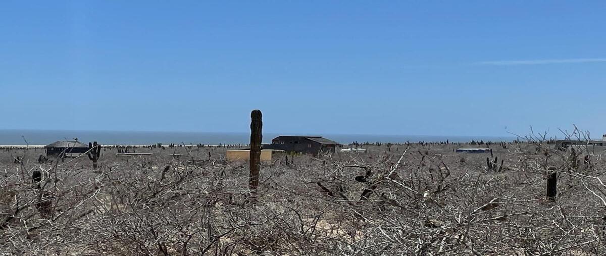 Foto de terreno habitacional en venta en las playitas , pueblo nuevo, la paz, baja california sur, 0 No. 03