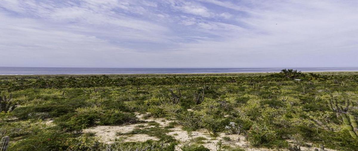 Foto de terreno habitacional en venta en las playitas , pueblo nuevo, la paz, baja california sur, 0 No. 03