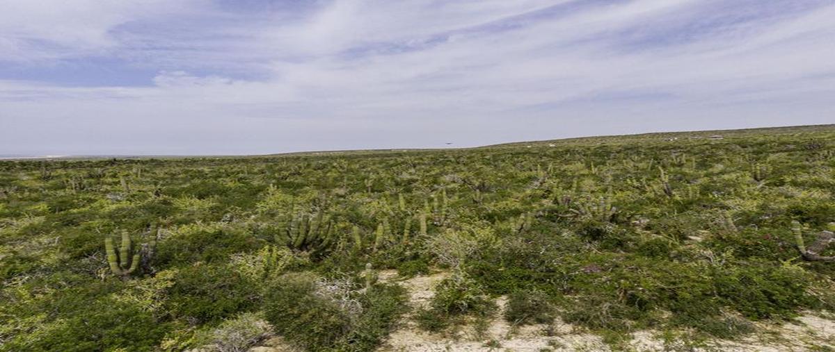 Foto de terreno habitacional en venta en las playitas , pueblo nuevo, la paz, baja california sur, 0 No. 04