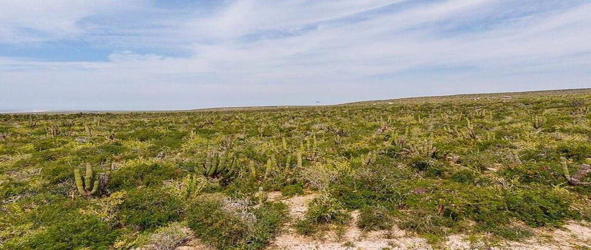 Foto de terreno habitacional en venta en las playitas , pueblo nuevo, la paz, baja california sur, 0 No. 05