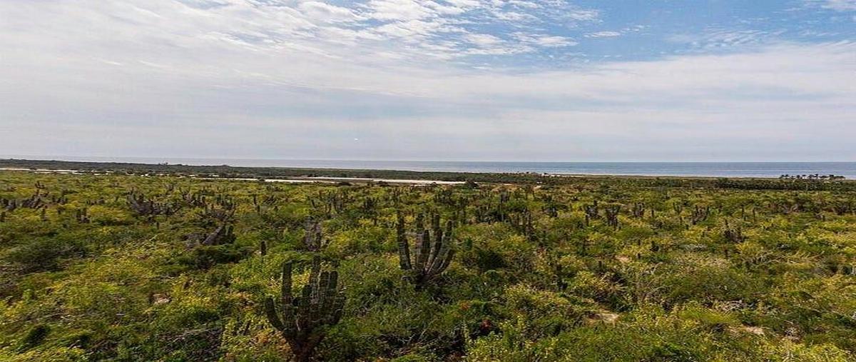 Foto de terreno habitacional en venta en las playitas , pueblo nuevo, la paz, baja california sur, 0 No. 06