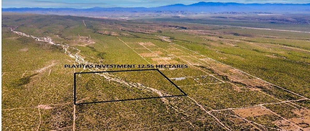 Foto de terreno habitacional en venta en las playitas , pueblo nuevo, la paz, baja california sur, 0 No. 03