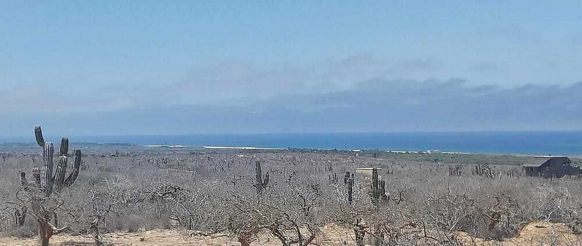 Foto de terreno habitacional en venta en las playitas , pueblo nuevo, la paz, baja california sur, 0 No. 11