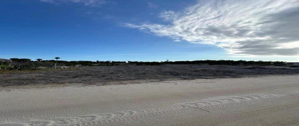 Foto de terreno habitacional en venta en las playitas , pueblo nuevo, la paz, baja california sur, 31093592 No. 04