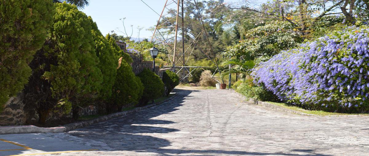 Foto de casa en venta en  , las quintas, cuernavaca, morelos, 0 No. 05
